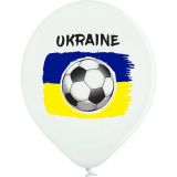 3103-1304 В105 Футбол Украина 30 см