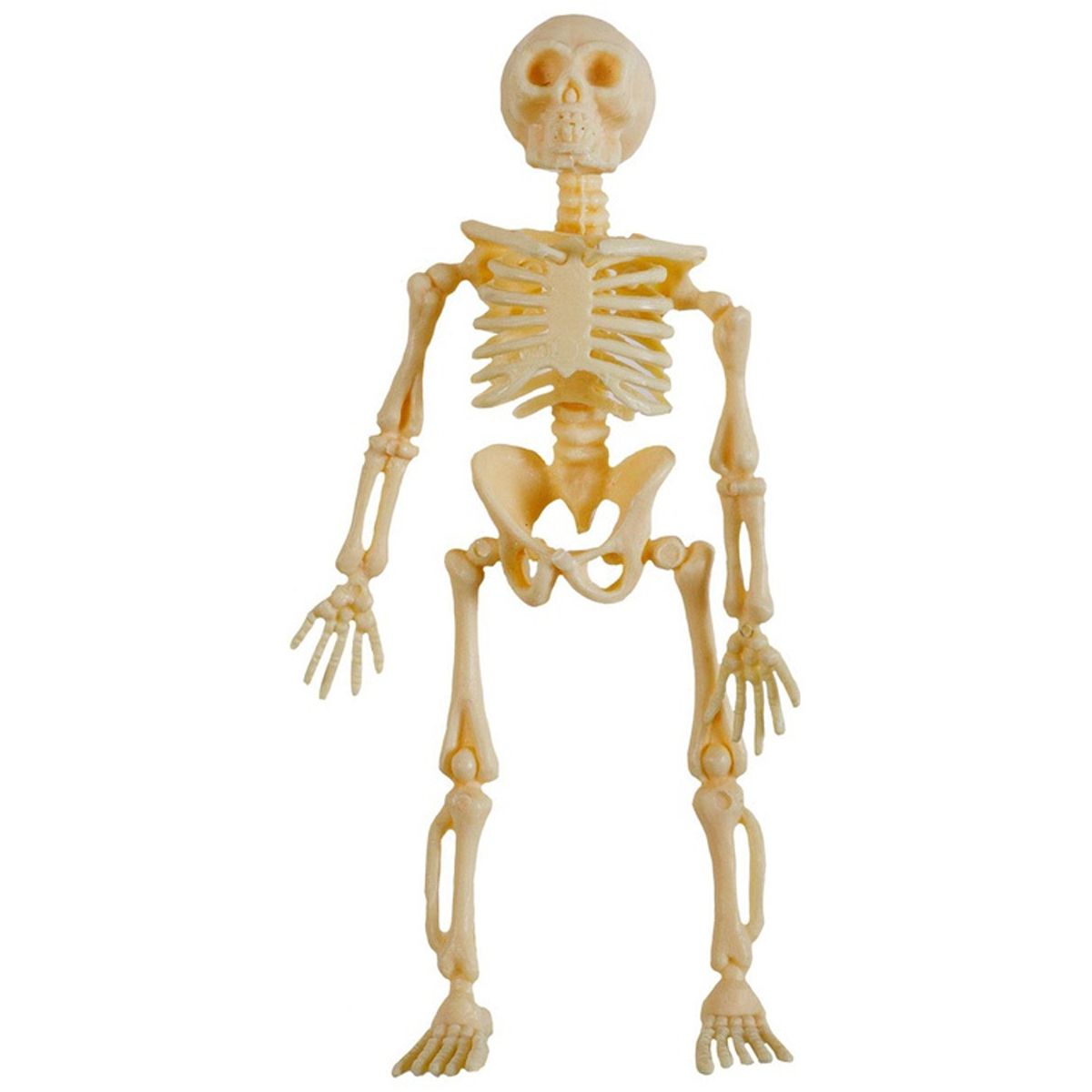 1501-5819 Скелет пластик 13см 3шт/G