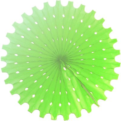 1409-0163 G Фант паперовий світло-зелений 40 см